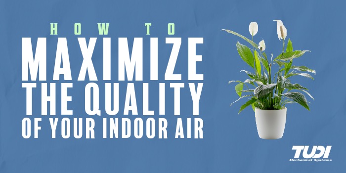 How to Maximize the Quality of your Indoor Air